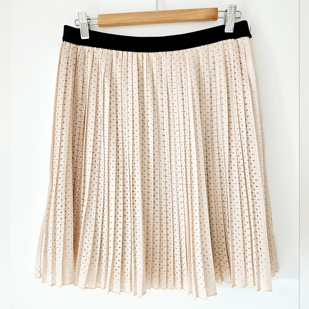 Pleated eyelet chiffon skirt